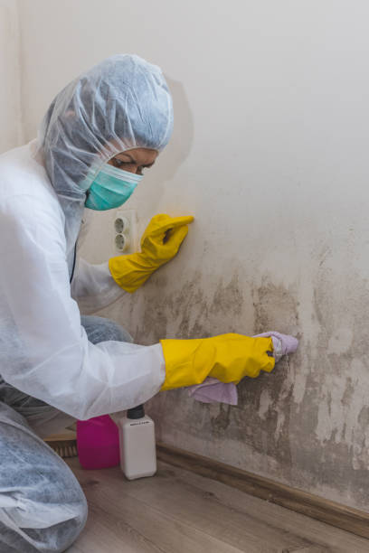 Best Dehumidification Services  in Chain Lake, WA