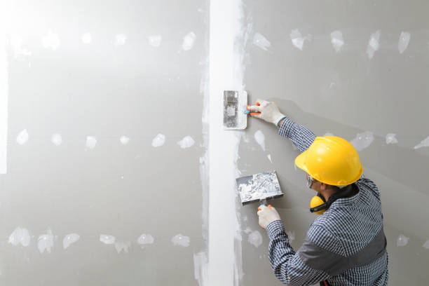 Best Forensic Mold Investigation  in Chain Lake, WA